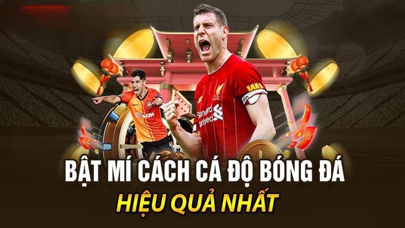 gười chơi không nên ăn theo đám đông khi cá cược bóng đá